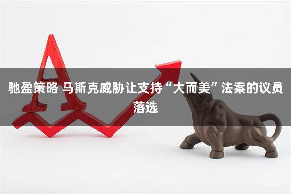 驰盈策略 马斯克威胁让支持“大而美”法案的议员落选