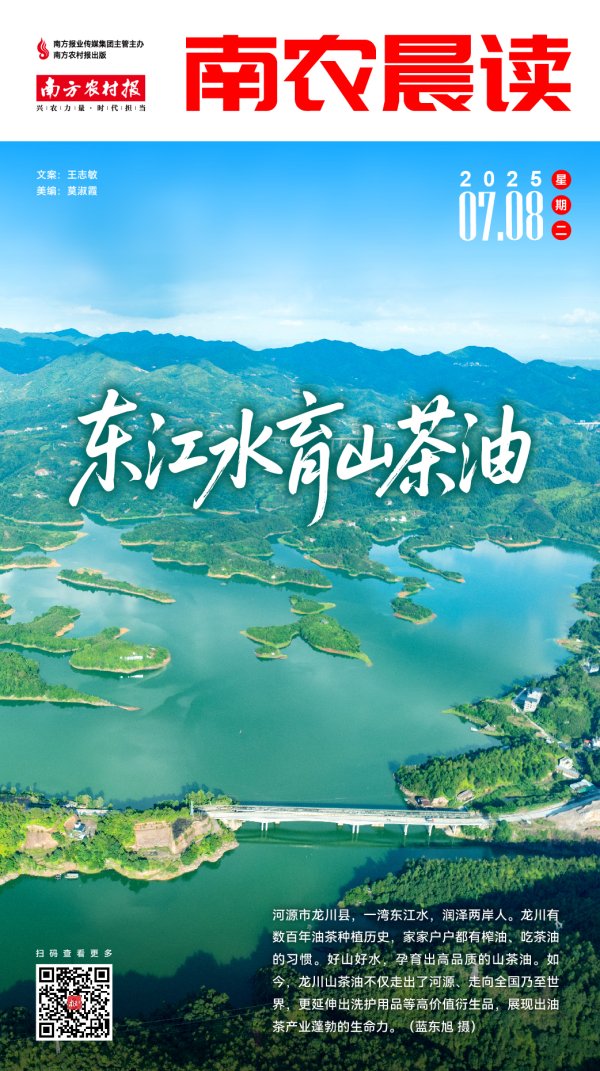沪深投 南农晨读 | 东江水育山茶油
