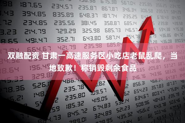 双融配资 甘肃一高速服务区小吃店老鼠乱爬，当地致歉！称销毁剩余食品