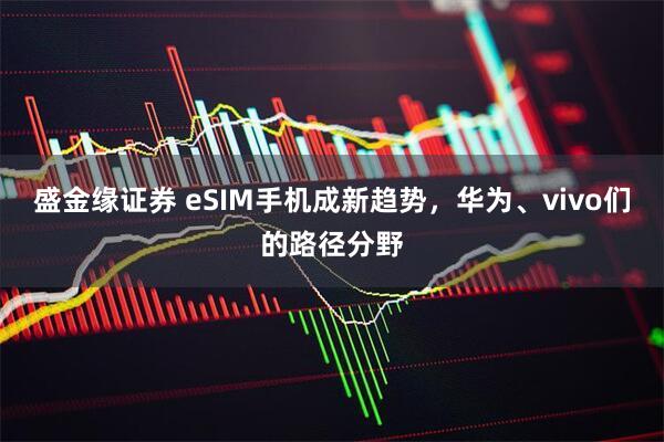 盛金缘证券 eSIM手机成新趋势,华为、vivo们的路径分野